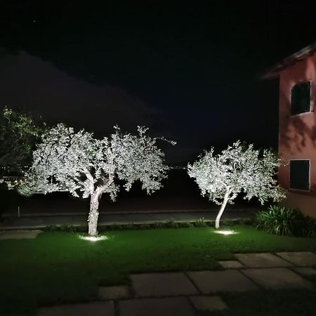 Nice Apartments Lake View & Free Parking Pastrengo Exterior photo